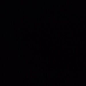 Meet your Posher, Eliza